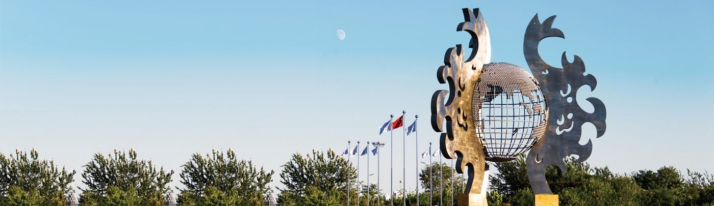 问鼎国际文化